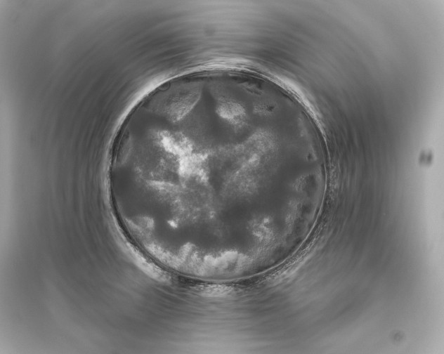 X0000094811235200711301544