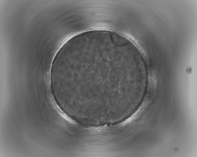 X0000094811236200711301544