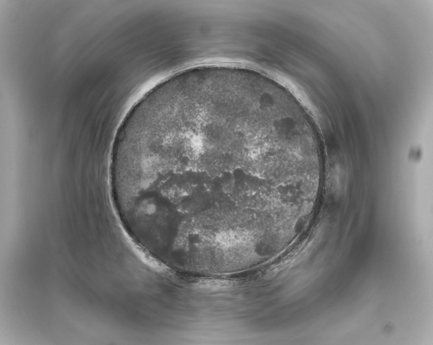 X0000094811237200711301544