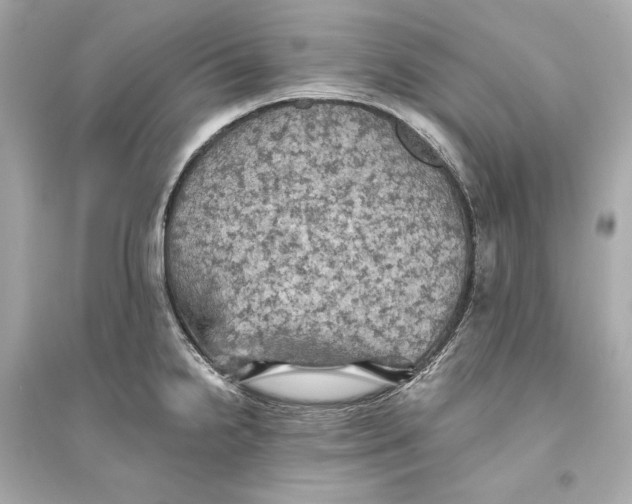 X0000094811238200711301544