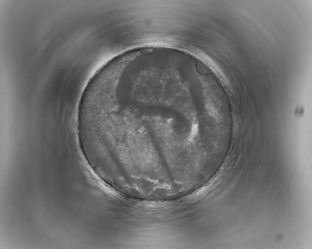 X0000094811240200711301544