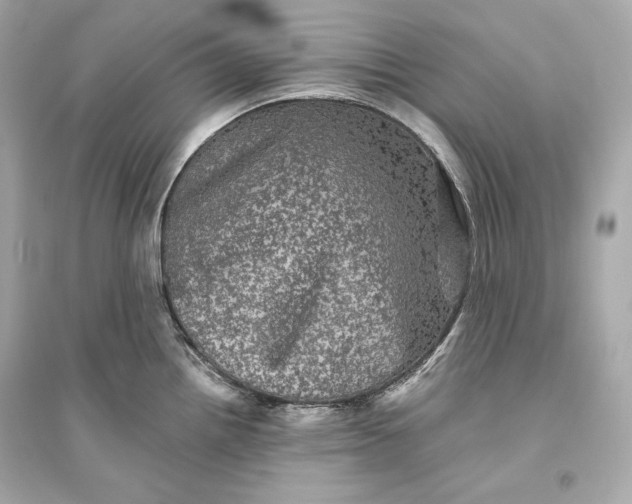 X0000094811242200711301544