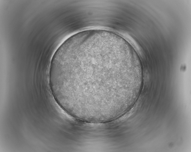 X0000094811244200711301544