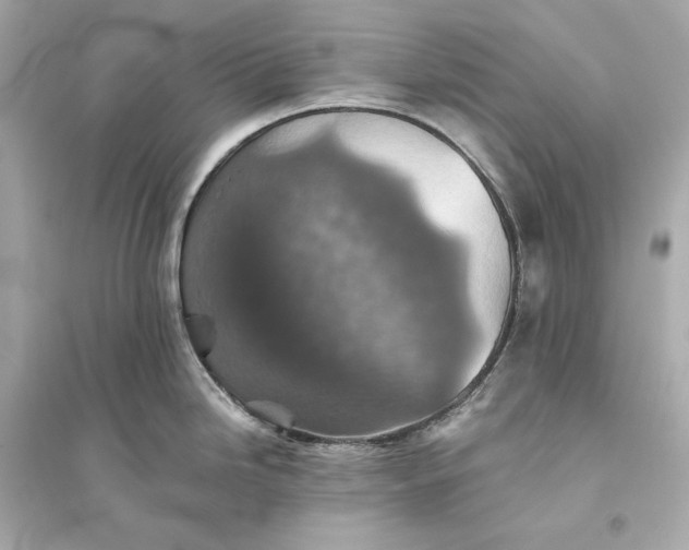 X0000094811246200711301544