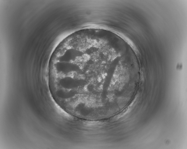 X0000094811247200711301544