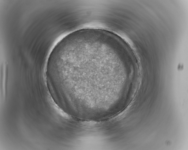 X0000094811248200711301544