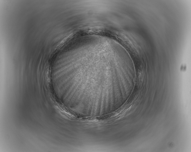 X0000094811250200711301544