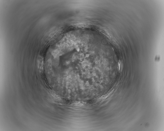 X0000094811251200711301544