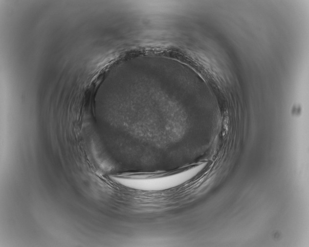 X0000094811252200711301544