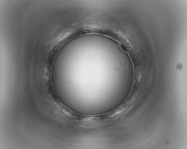 X0000094811253200711301544