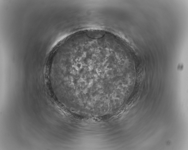 X0000094811255200711301544