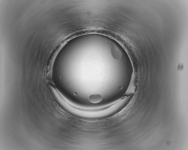 X0000094811257200711301544