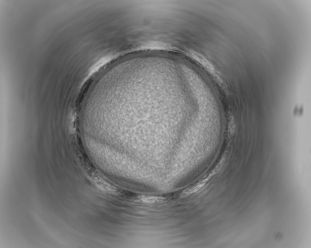 X0000094811258200711301544