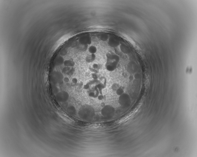 X0000094811259200711301544