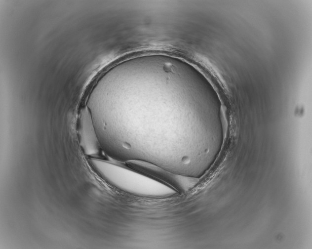 X0000094811260200711301544