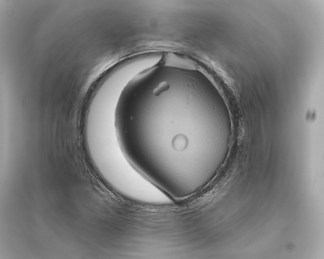 X0000094811261200711301544