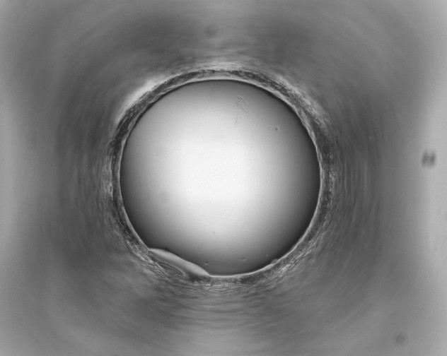 X0000094811262200711301544