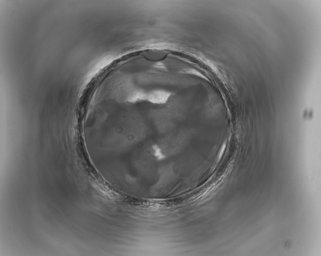 X0000094811263200711301544