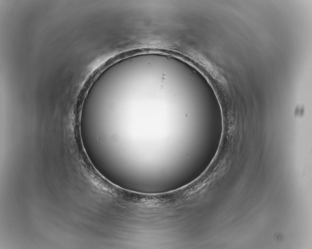 X0000094811264200711301544