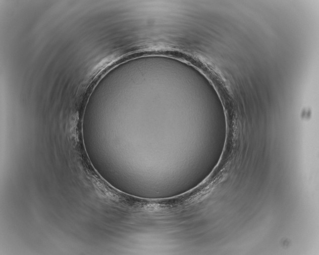 X0000094811265200711301544