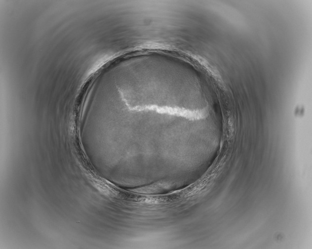 X0000094811266200711301544