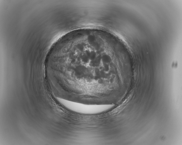 X0000094811267200711301544