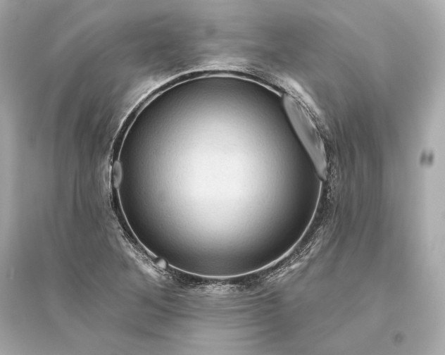 X0000094811268200711301544