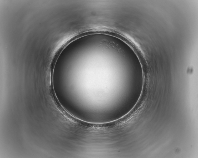 X0000094811269200711301544