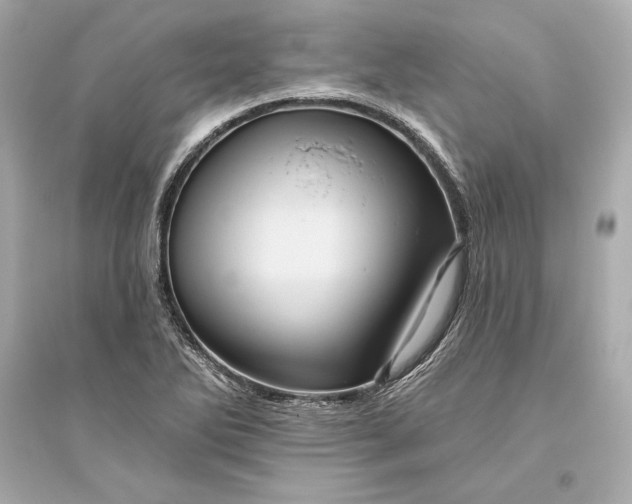 X0000094811270200711301544