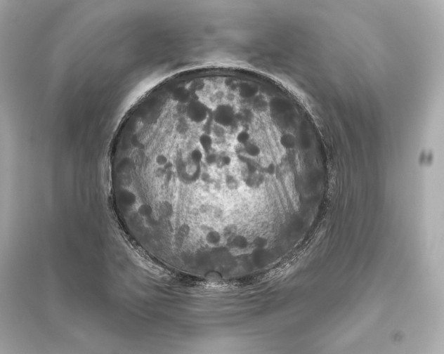 X0000094811271200711301544