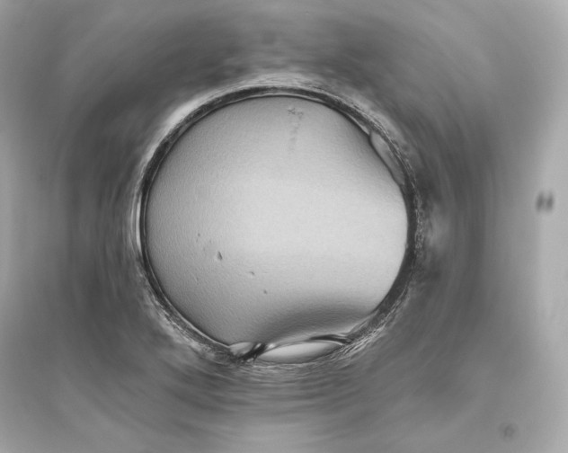 X0000094811272200711301544