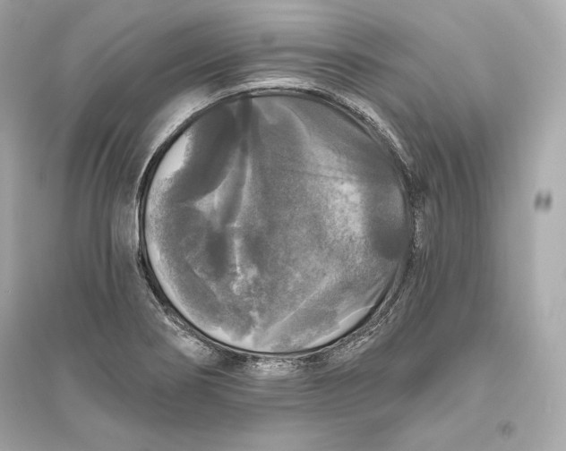 X0000094811274200711301543