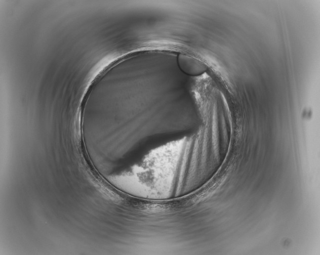 X0000094811275200711301543