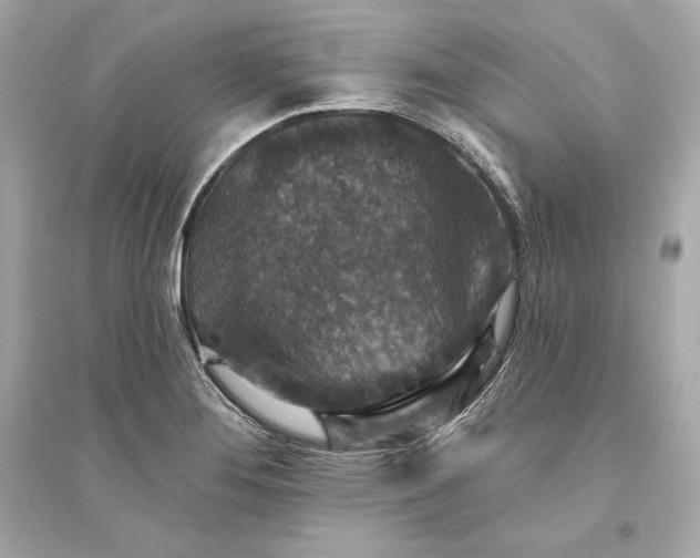 X0000094811276200711301543