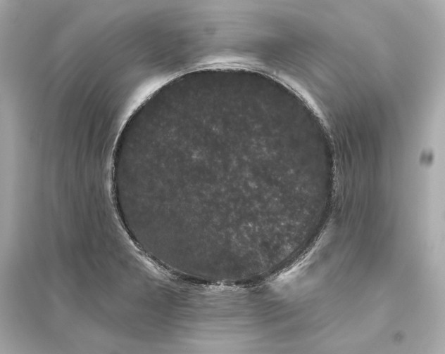 X0000094811277200711301543