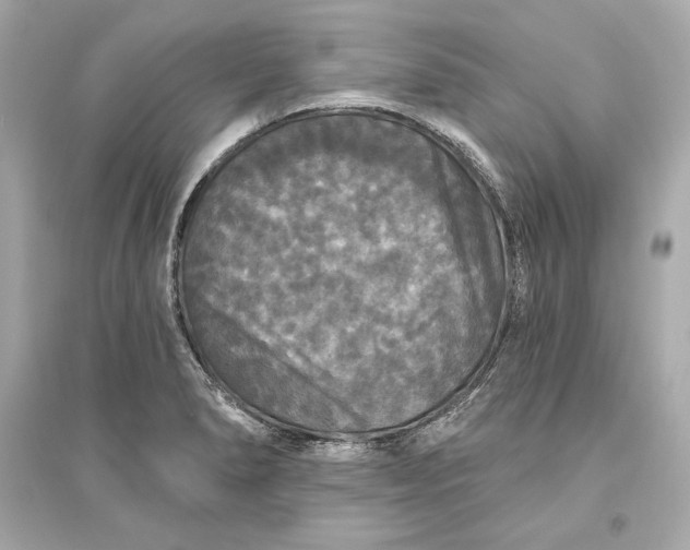 X0000094811278200711301543