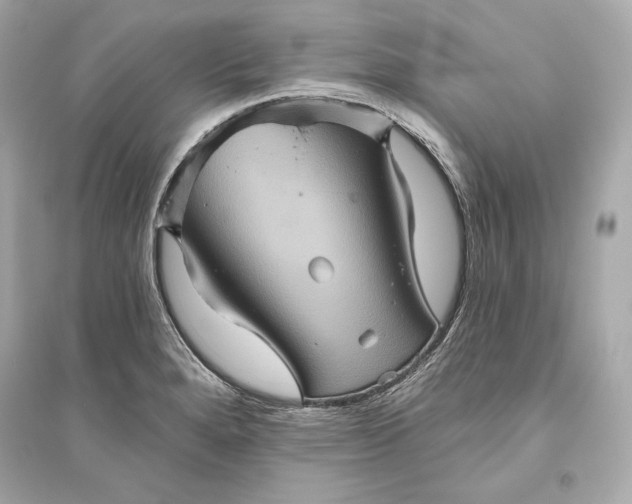 X0000094811280200711301543