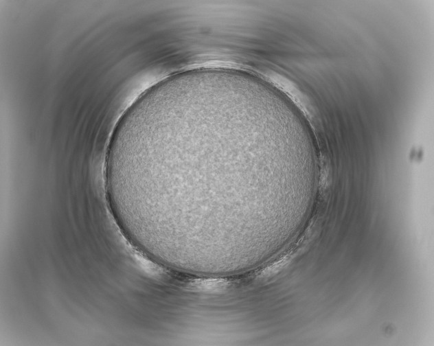 X0000094811282200711301543