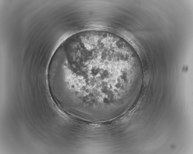 X0000094811283200711301543