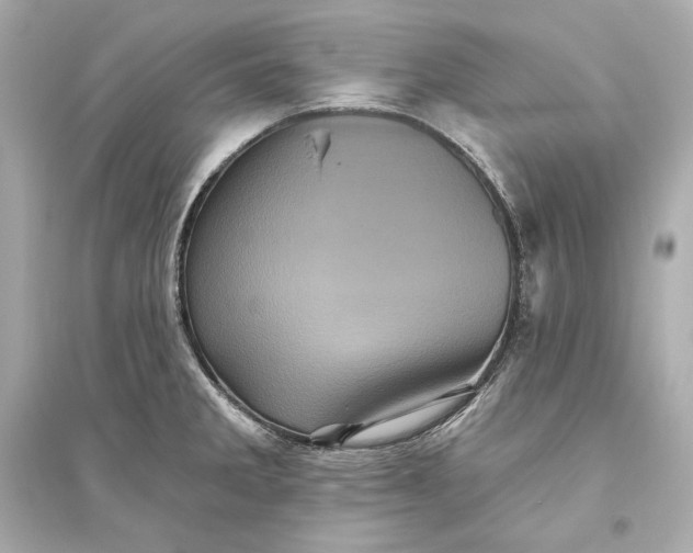 X0000094811285200711301543