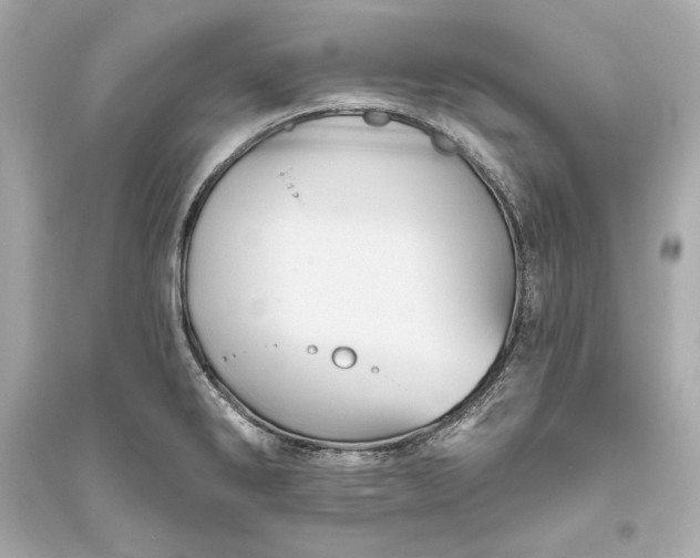 X0000094811286200711301543