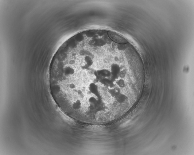 X0000094811287200711301543