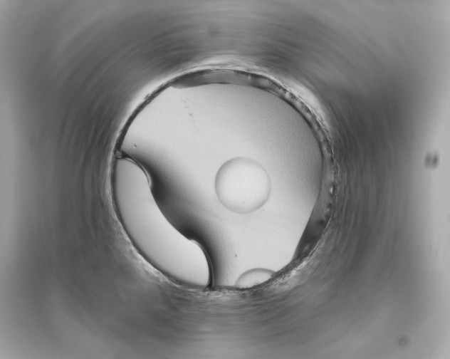 X0000094811288200711301543