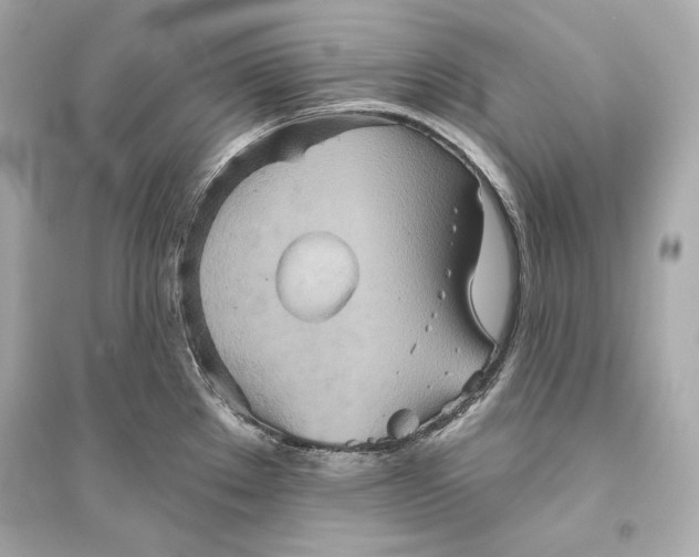 X0000094811289200711301543