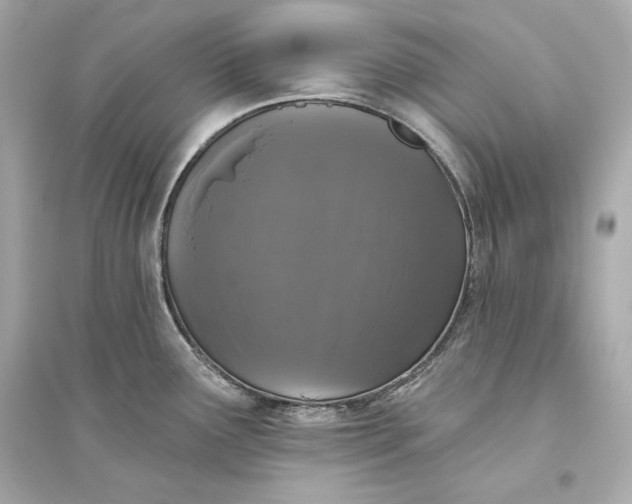 X0000094811291200711301543