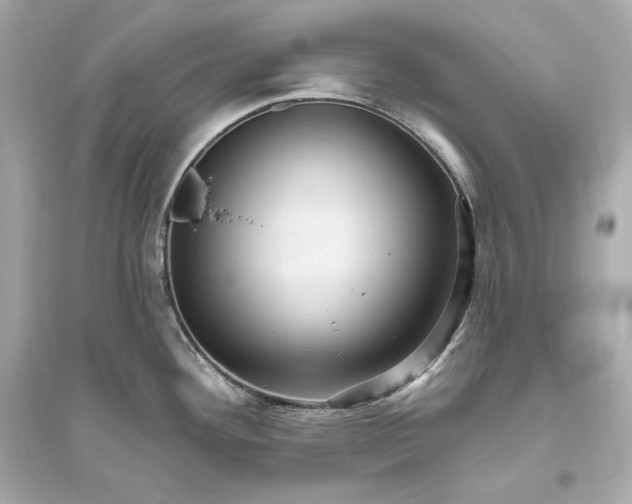 X0000094811292200711301543