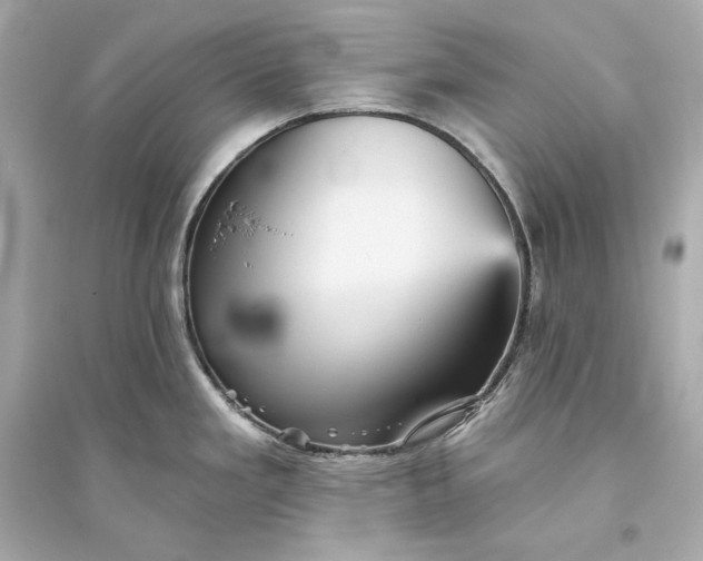 X0000094811293200711301543