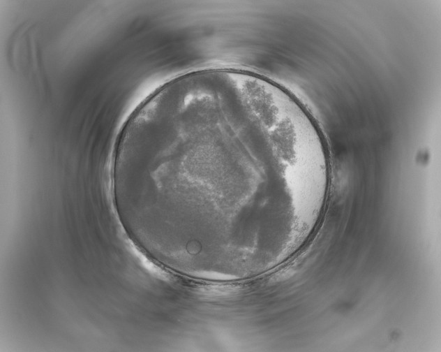 X0000094811294200711301543