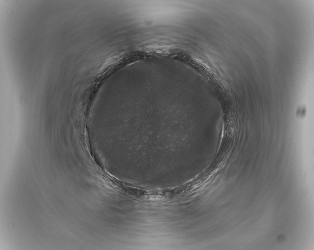 X0000094811297200711301542