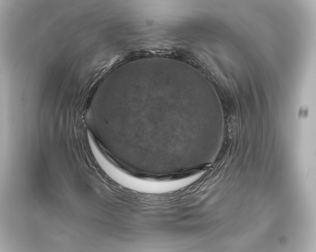 X0000094811298200711301542